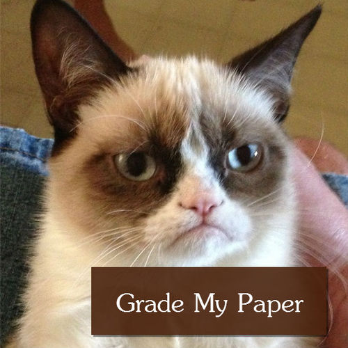 Grade My Paper
